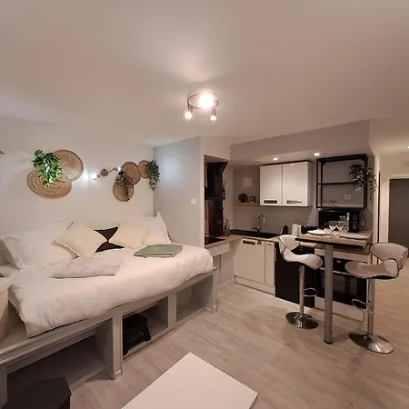 L'escale, Studio, Hyper-center Historique, Netflix Apartment Laval (Mayenne)